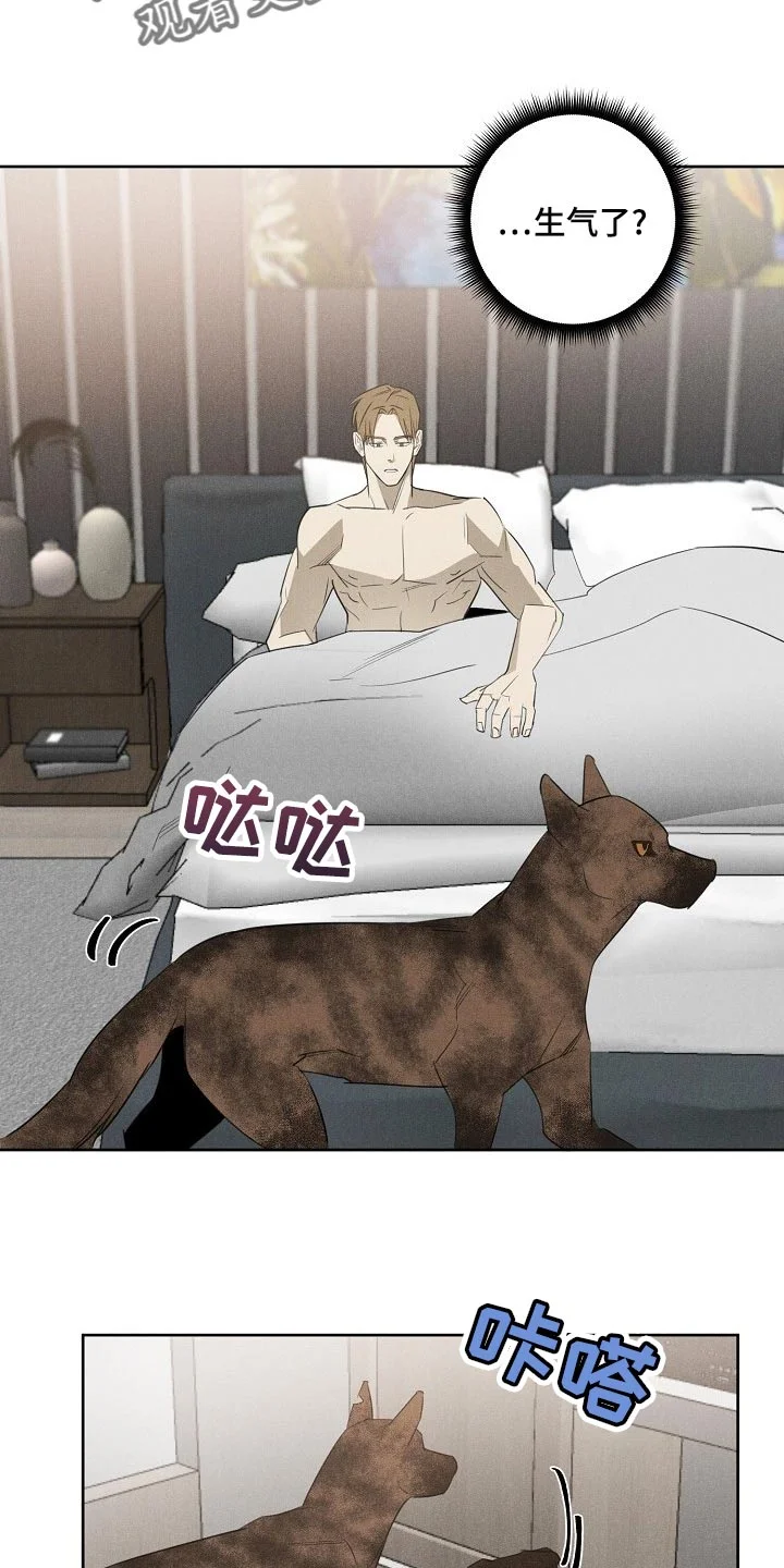 黑犬 第20章：躲不开 第4页