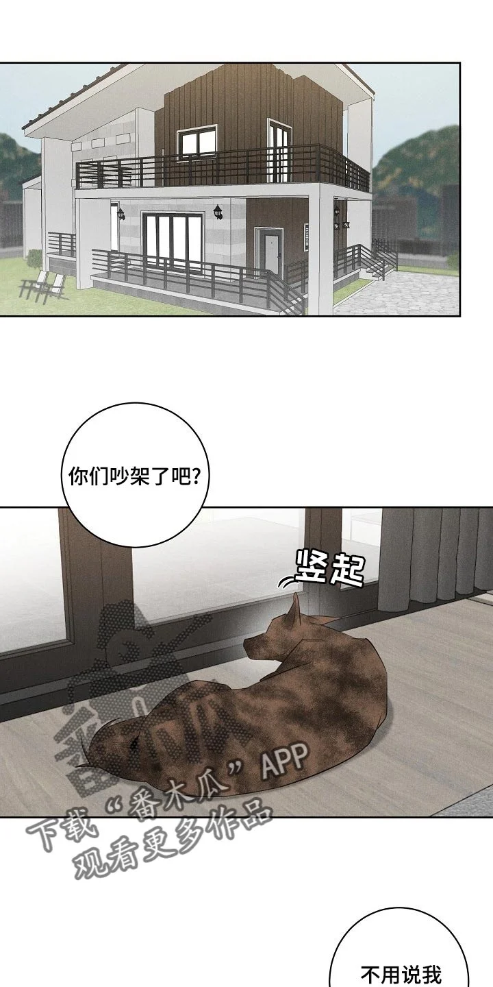 黑犬 第20章：躲不开 第1页