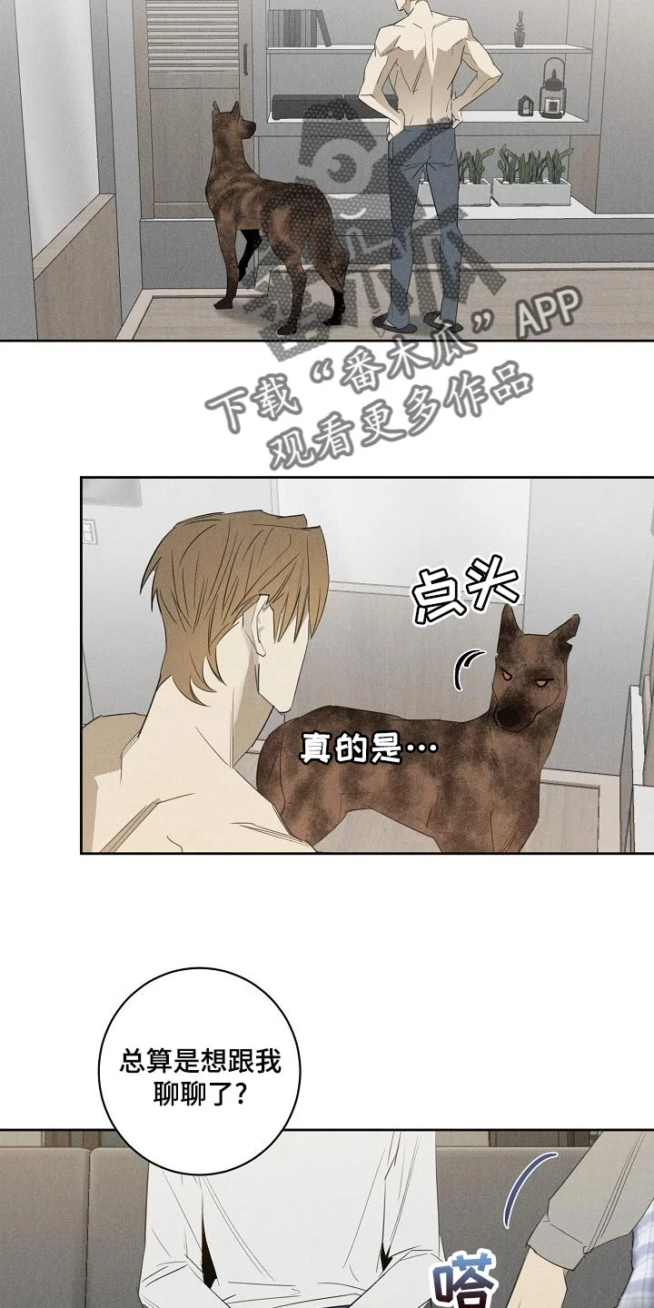 黑犬 第20章：躲不开 第6页