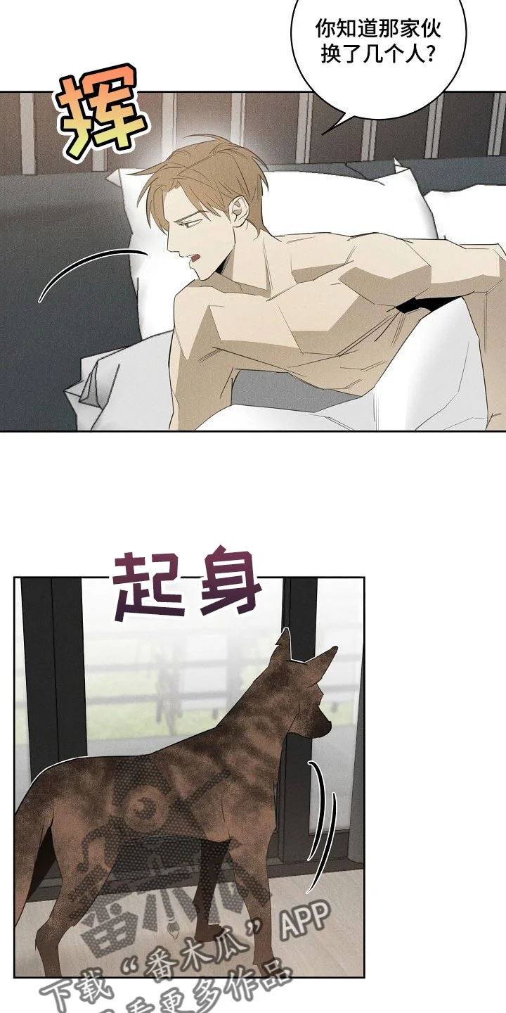 黑犬 第20章：躲不开 第3页