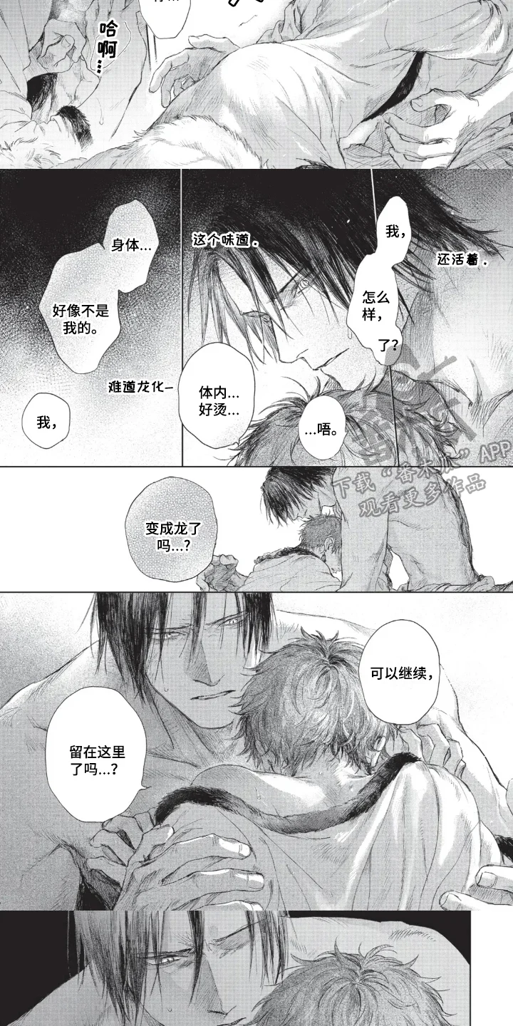 龙的新娘子 第8章：还活着 第3页