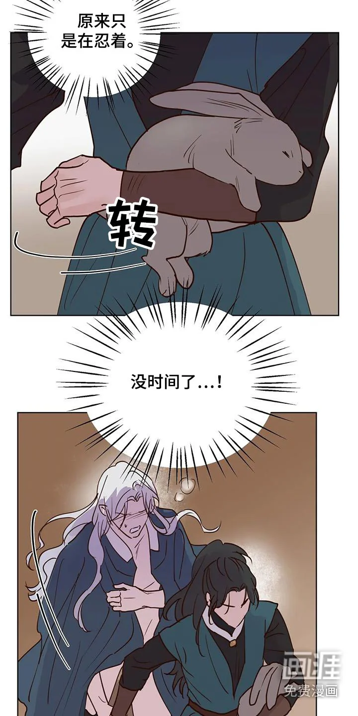 龟兔同行 第86章：没事了 第10页